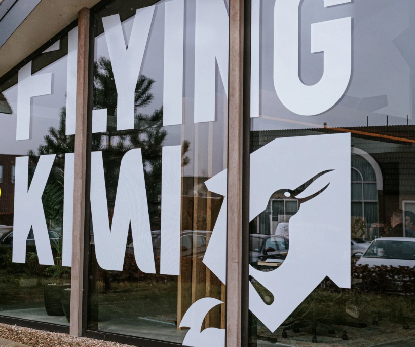 Flying Kiwi